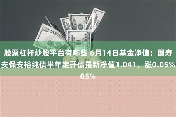 股票杠杆炒股平台有哪些 6月14日基金净值：国寿安保安裕纯债半年定开债最新净值1.041，涨0.05%