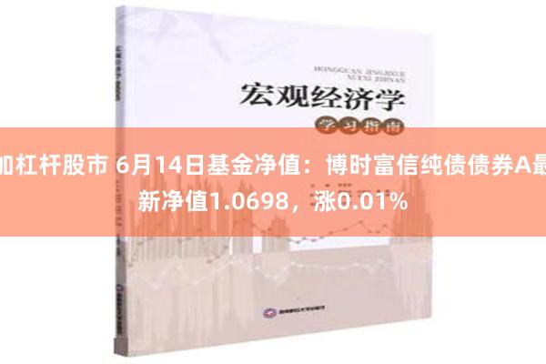 加杠杆股市 6月14日基金净值：博时富信纯债债券A最新净值1.0698，涨0.01%