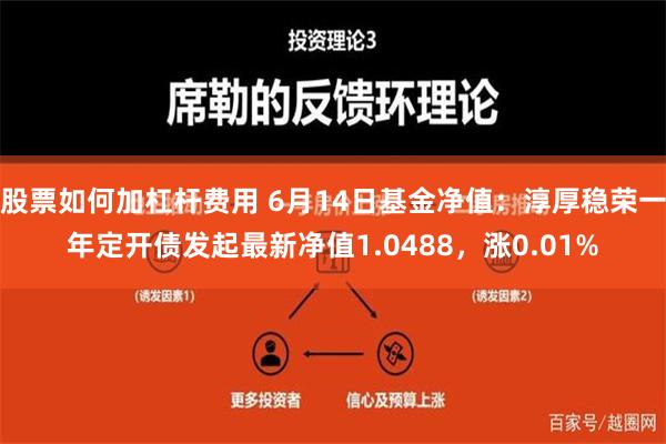 股票如何加杠杆费用 6月14日基金净值：淳厚稳荣一年定开债发起最新净值1.0488，涨0.01%