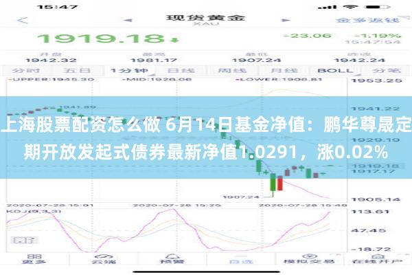 上海股票配资怎么做 6月14日基金净值：鹏华尊晟定期开放发起式债券最新净值1.0291，涨0.02%
