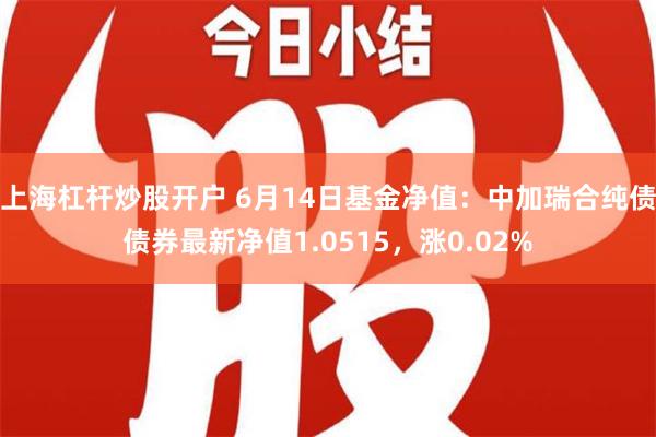 上海杠杆炒股开户 6月14日基金净值：中加瑞合纯债债券最新净值1.0515，涨0.02%