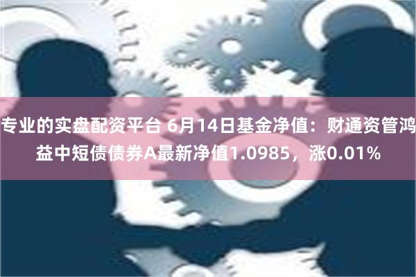 专业的实盘配资平台 6月14日基金净值：财通资管鸿益中短债债券A最新净值1.0985，涨0.01%