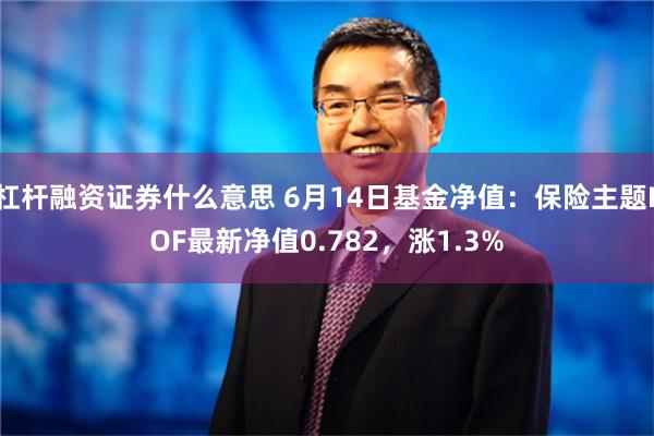 杠杆融资证券什么意思 6月14日基金净值：保险主题LOF最新净值0.782，涨1.3%