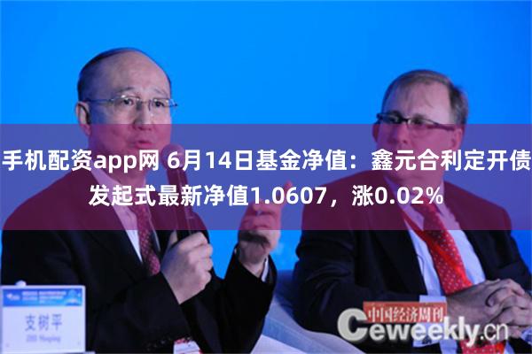 手机配资app网 6月14日基金净值：鑫元合利定开债发起式最新净值1.0607，涨0.02%