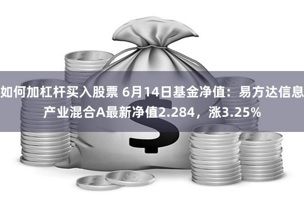 如何加杠杆买入股票 6月14日基金净值：易方达信息产业混合A最新净值2.284，涨3.25%