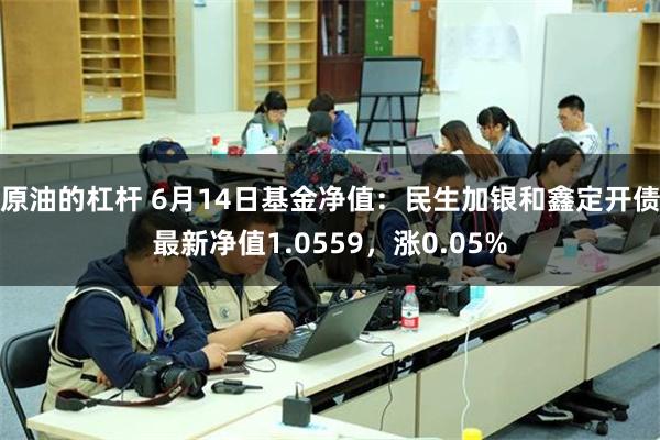 原油的杠杆 6月14日基金净值：民生加银和鑫定开债最新净值1.0559，涨0.05%