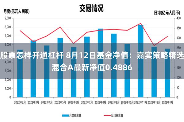 股票怎样开通杠杆 8月12日基金净值：嘉实策略精选混合A最新净值0.4886