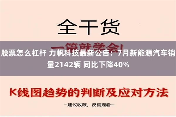 股票怎么杠杆 力帆科技最新公告：7月新能源汽车销量2142辆 同比下降40%