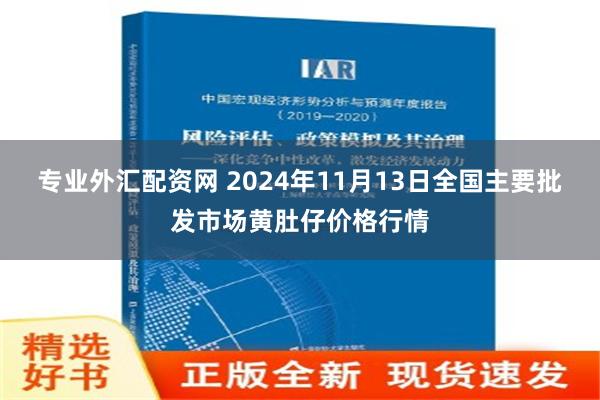 专业外汇配资网 2024年11月13日全国主要批发市场黄肚仔价格行情