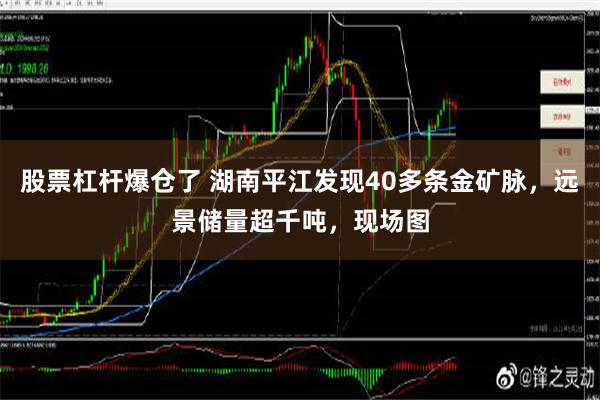 股票杠杆爆仓了 湖南平江发现40多条金矿脉，远景储量超千吨，现场图