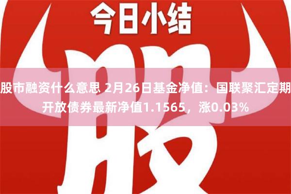 股市融资什么意思 2月26日基金净值：国联聚汇定期开放债券最新净值1.1565，涨0.03%