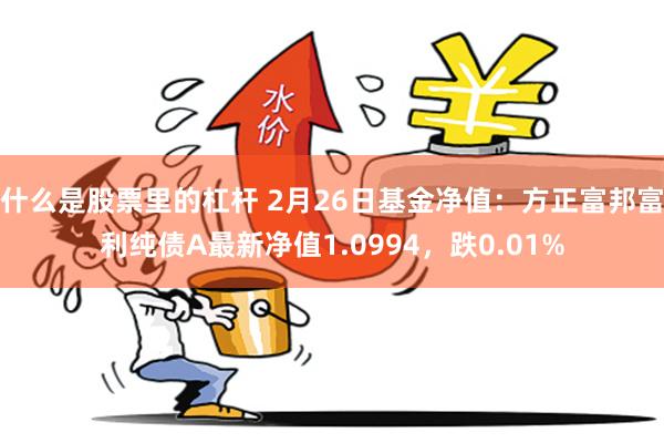 什么是股票里的杠杆 2月26日基金净值：方正富邦富利纯债A最新净值1.0994，跌0.01%